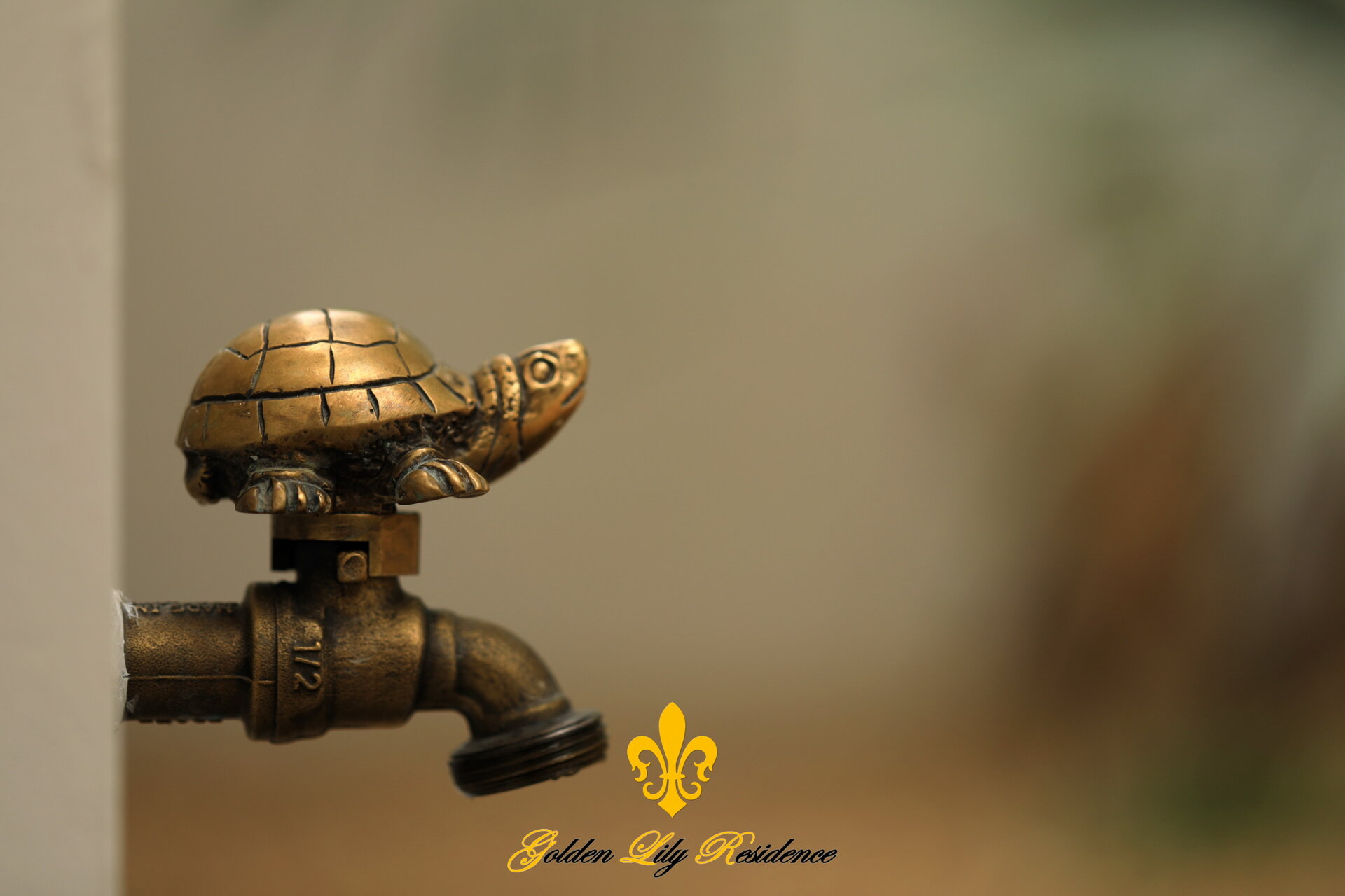 Golden Lily 4 Bedroom Private Pool Villa (ID 698)