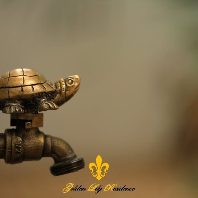 Golden Lily 4 Bedroom Private Pool Villa (ID 698)