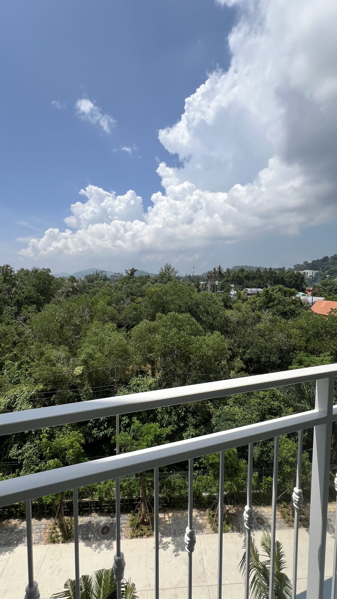 The Title Halo 1 (ID 304)