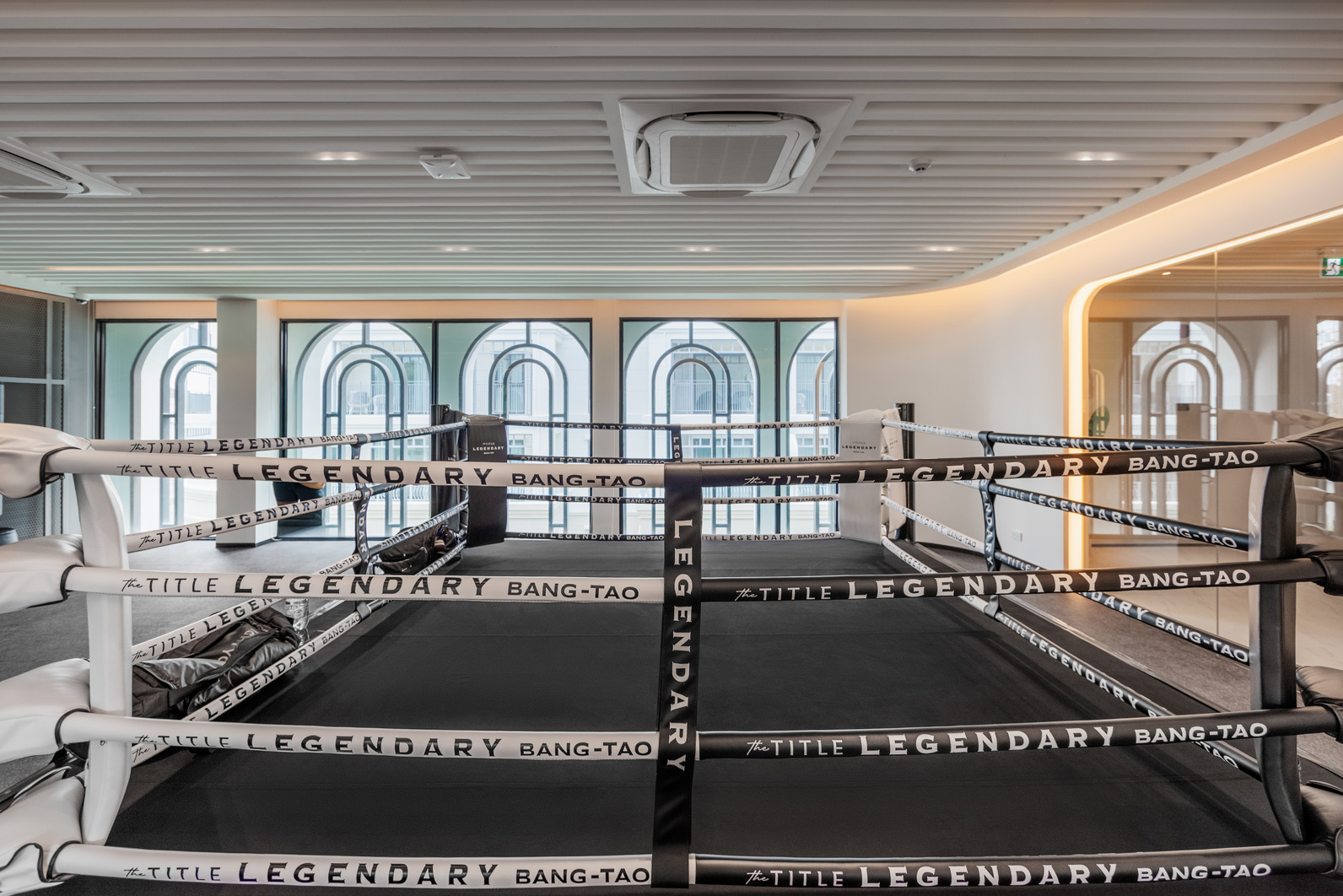 The Title Legendary A202 (ID 700)