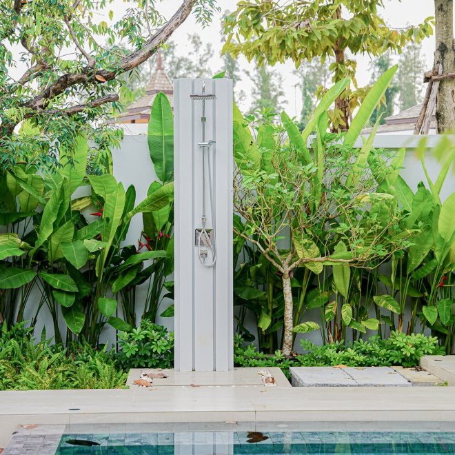 โบทานิก้าฟอเรสต้า (ID 633)