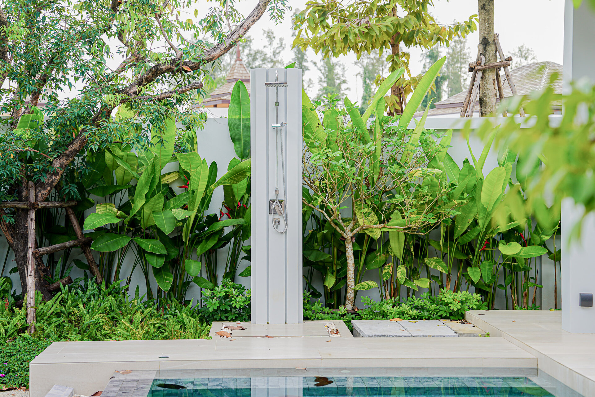 โบทานิก้าฟอเรสต้า (ID 633)