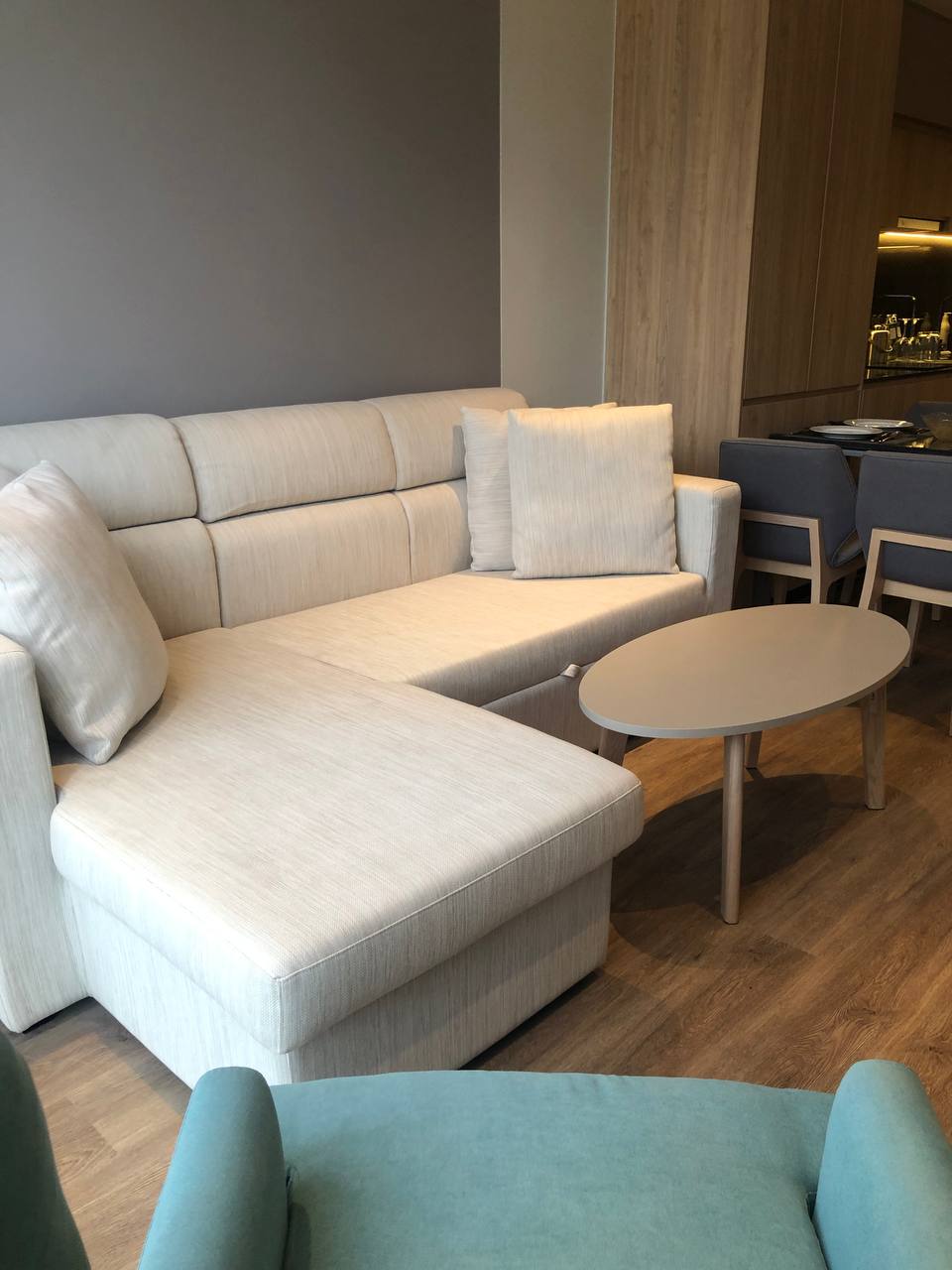 拉扬绿色公园第一期一居室公寓 (ID 144)