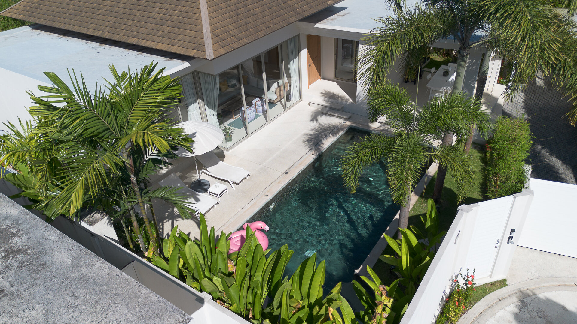 Trichada Tropical (ID 686)