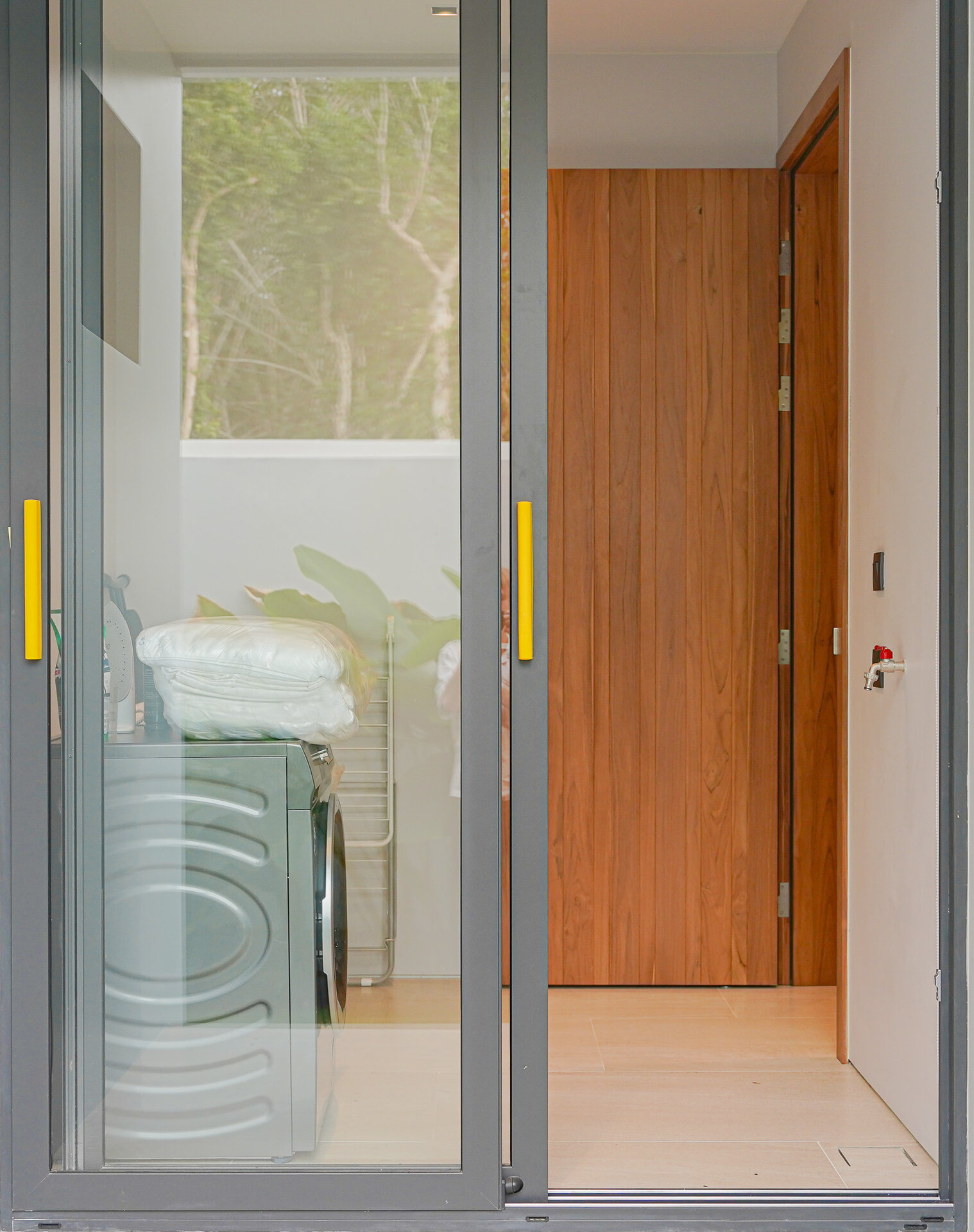 โบทานิก้าฟอเรสต้า (ID 633)