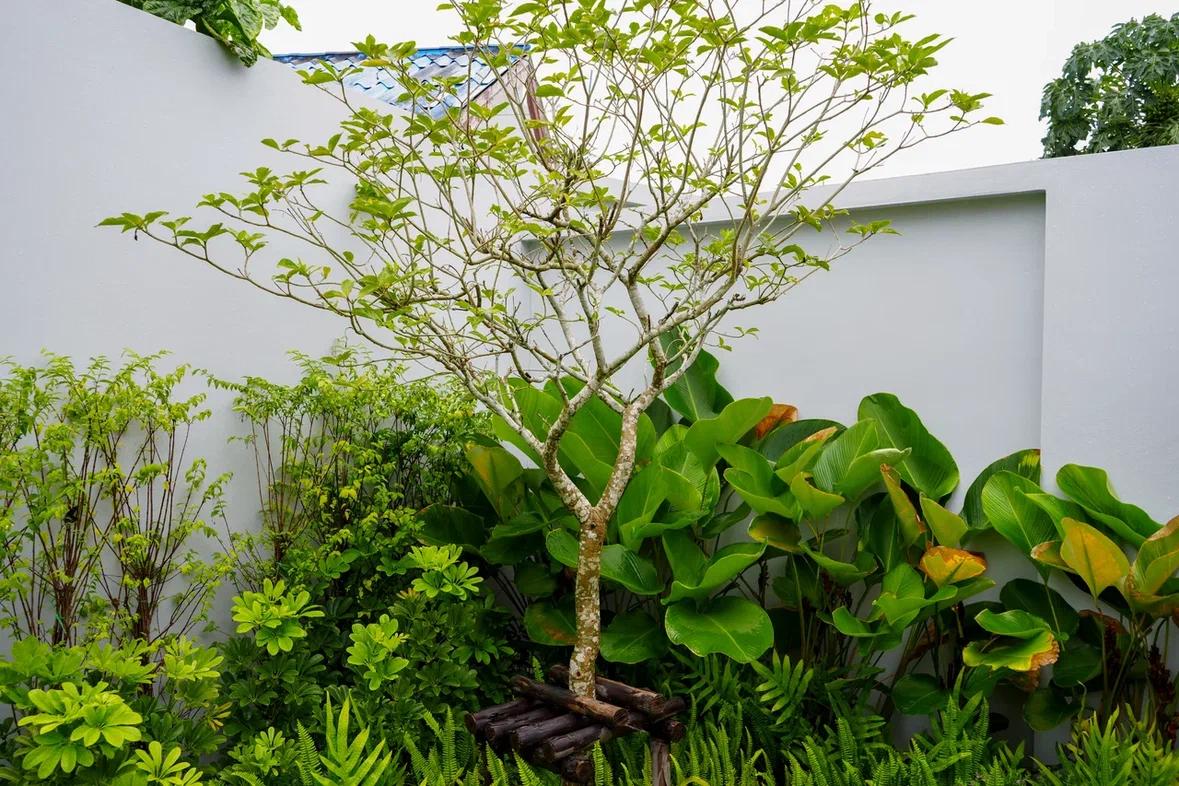 Продажа виллы Botanica Modern Loft II (ID 538)