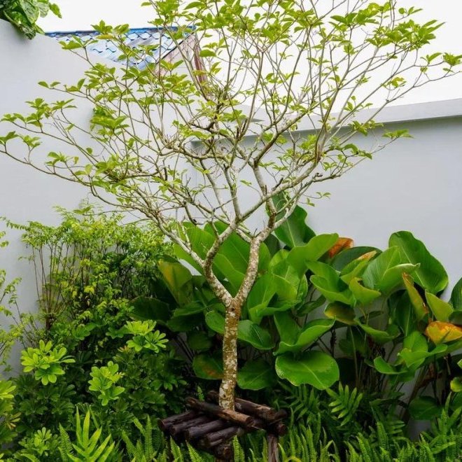 Продажа виллы Botanica Modern Loft II (ID 538)