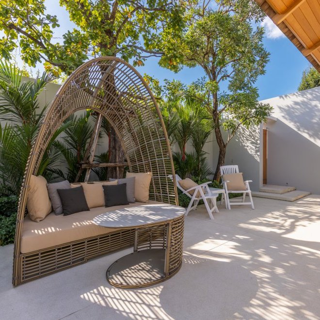 อัญชันฟลอร่า (ID 559)