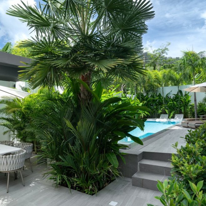 Jungle Serenity Villa (ID 578)