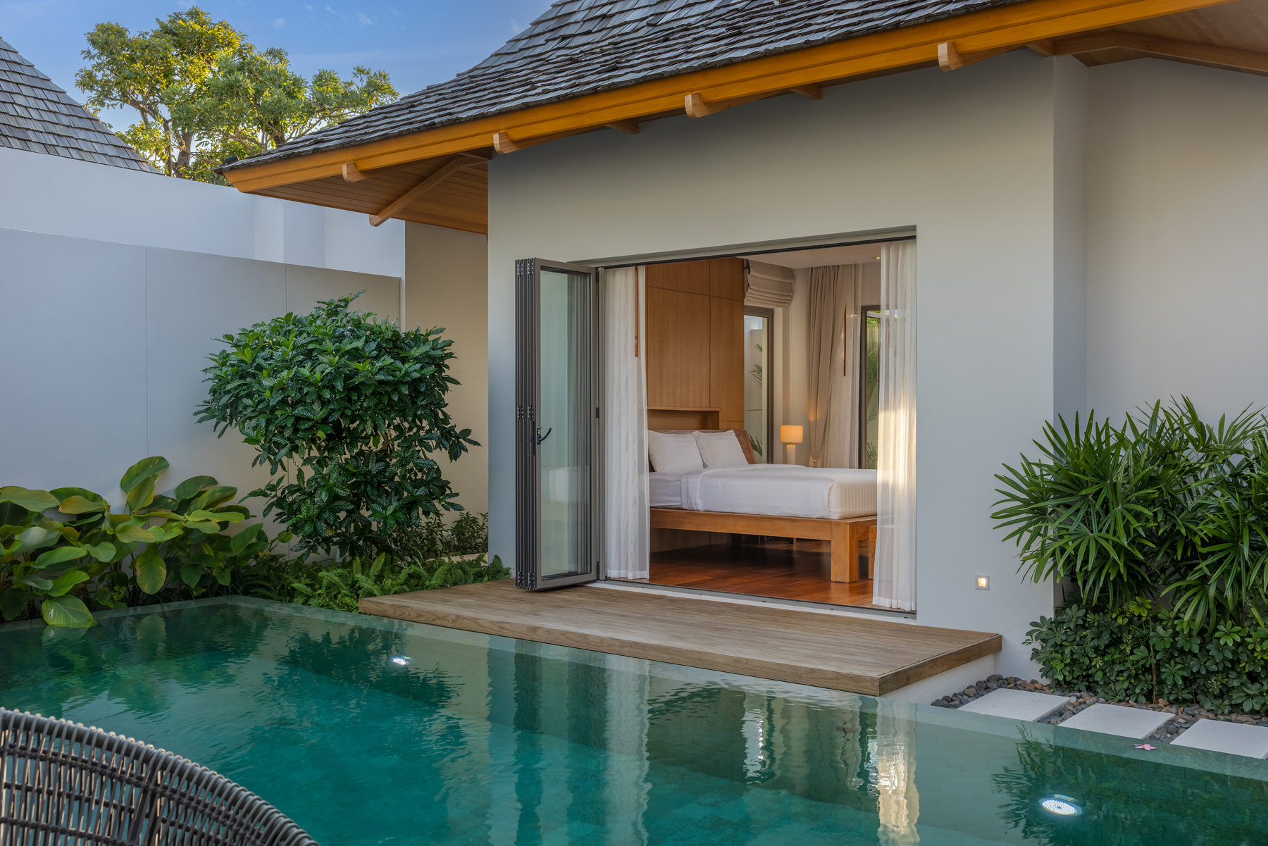 อัญชันฟลอร่า (ID 559)