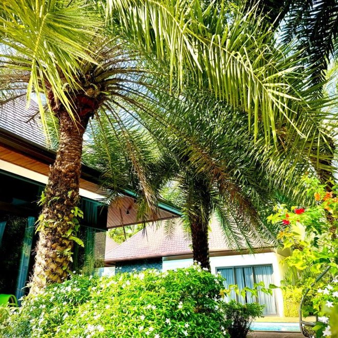 วิลล่า 7 ไม้ขาว-7 ห้องนอน,แปลงของ 1150 เมตร2,ฟรีโฮลด์ (ID 99)