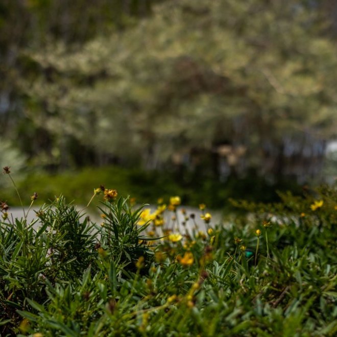 เช่า 2 ห้องนอนวิลล่ากาบาลาห์ (ID 543)