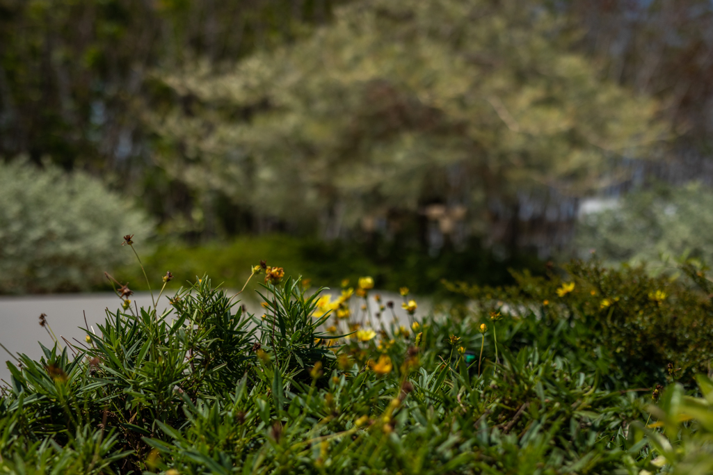 เช่า 2 ห้องนอนวิลล่ากาบาลาห์ (ID 543)