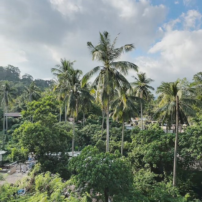 Квартира в The City Phuket (ID 573)