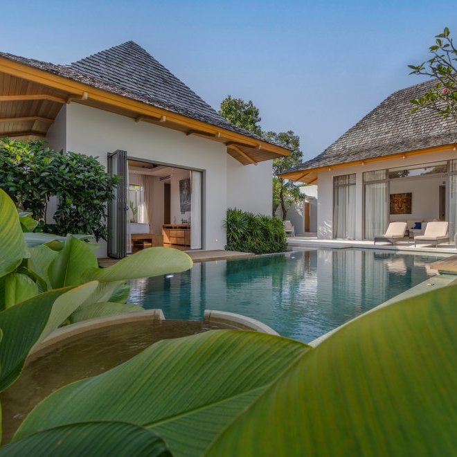 อัญชันฟลอร่า (ID 559)