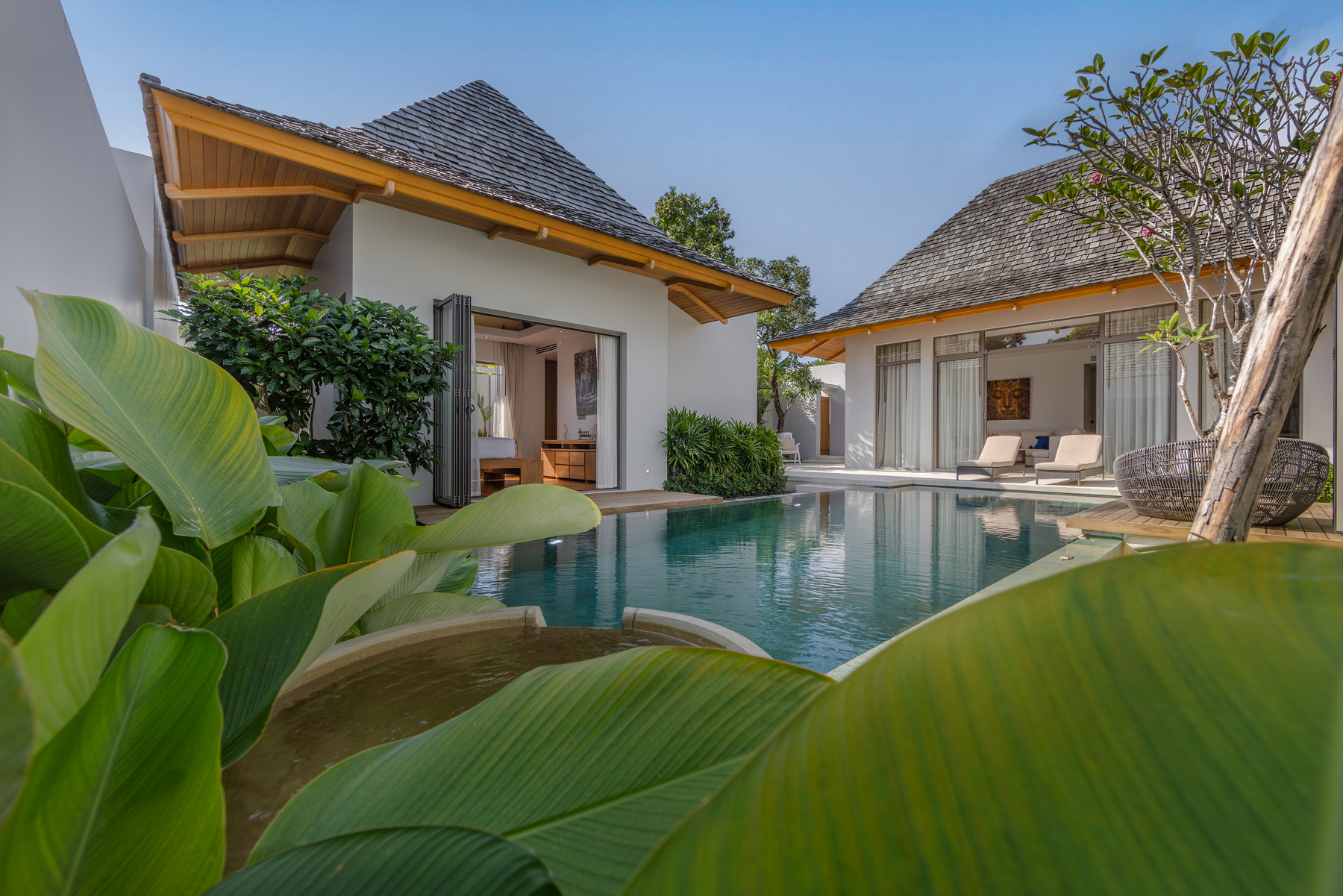 อัญชันฟลอร่า (ID 559)