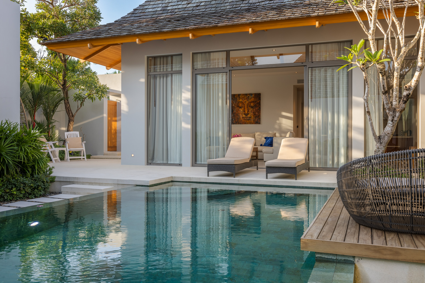 อัญชันฟลอร่า (ID 559)