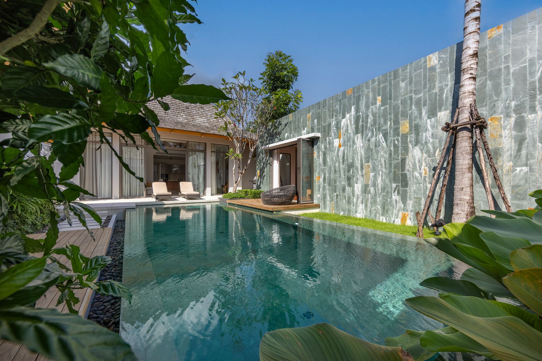 อัญชันฟลอร่า (ID 559)