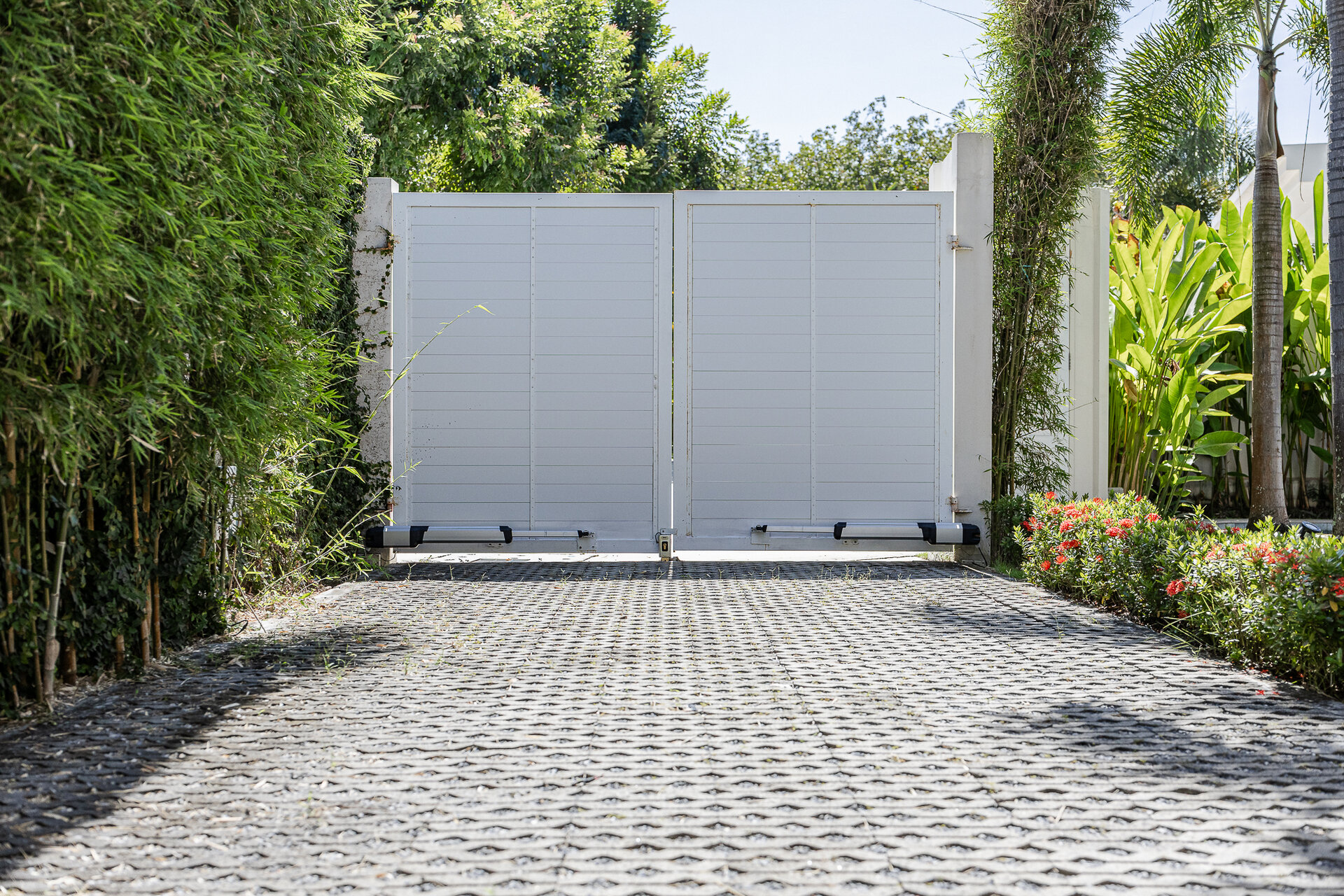 Trichada Tropical (ID 686)