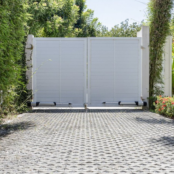 Trichada Tropical (ID 686)