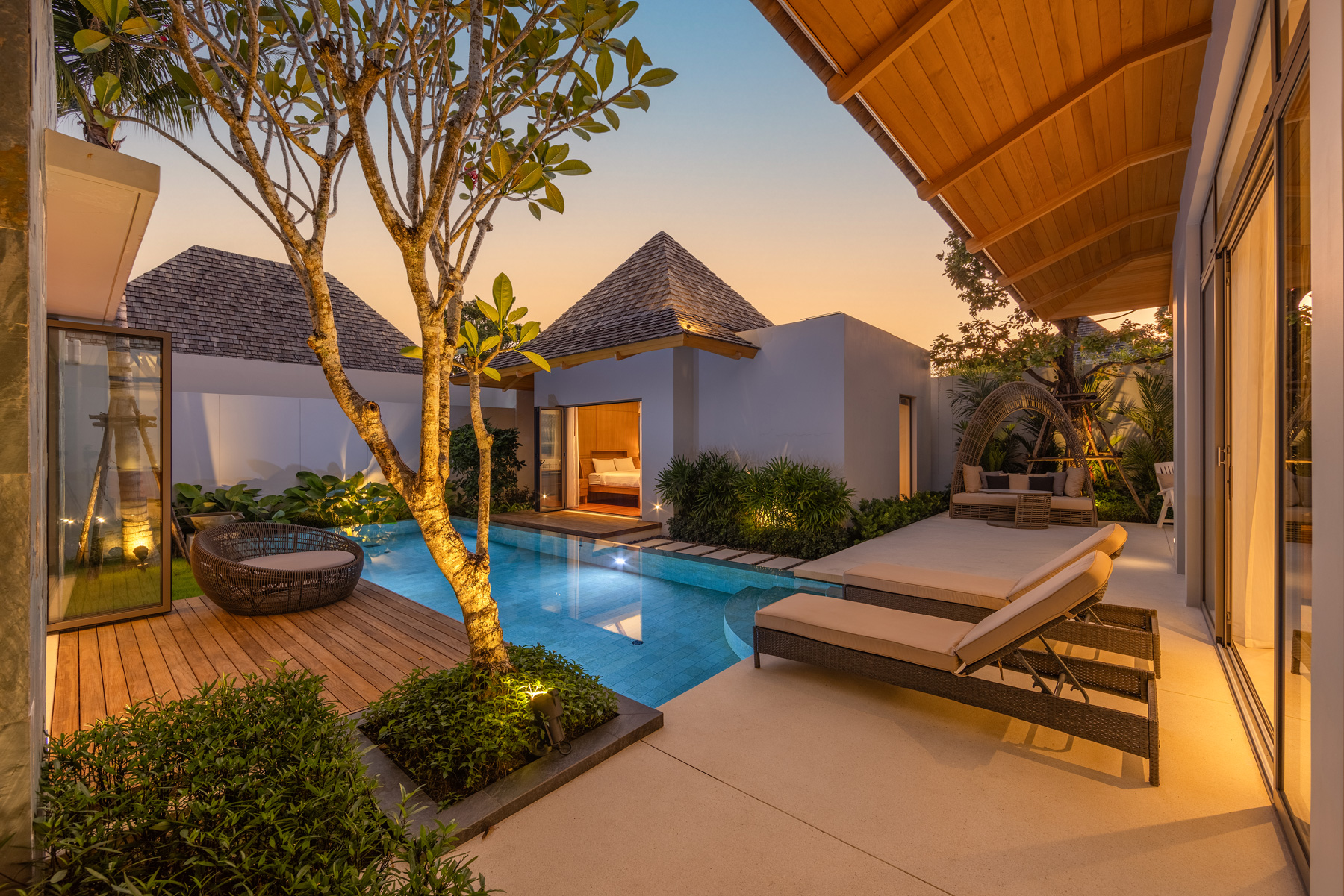 อัญชันฟลอร่า (ID 559)