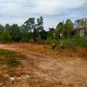 Продажа земли на БангТао под отель или виллы (ID 415)