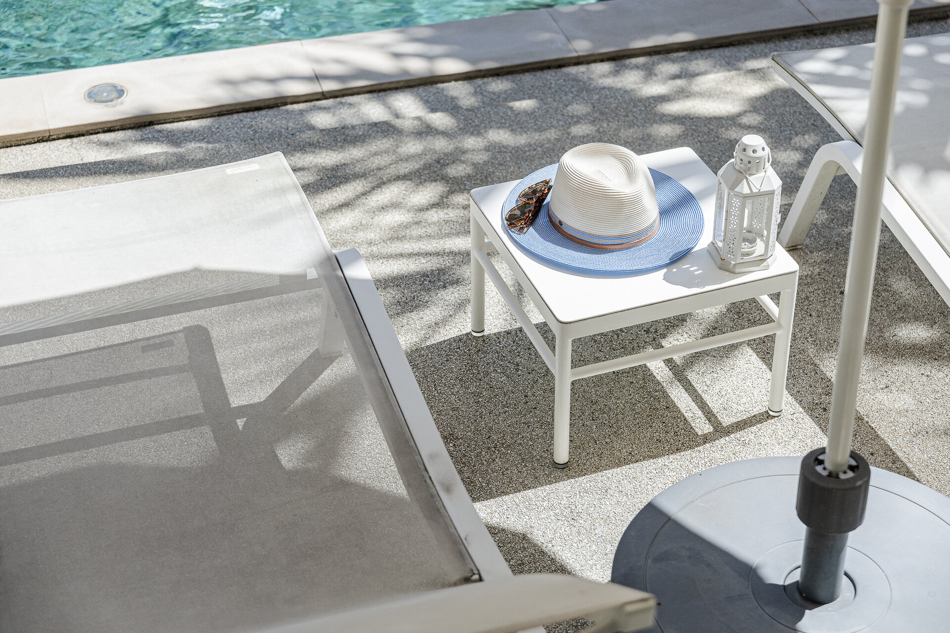 Trichada Tropical (ID 686)