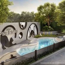 Иллюстрация к статье: Жизнь с животными на Пхукете: что важно знать перед покупкой недвижимости