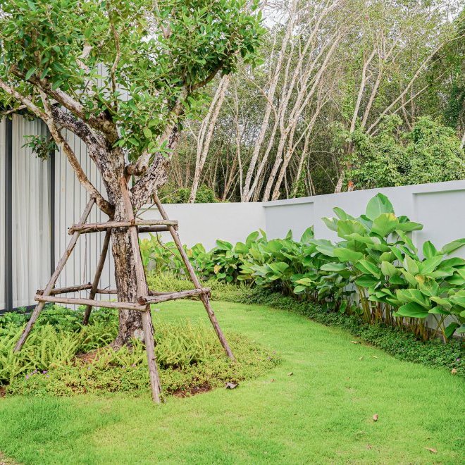 โบทานิก้าฟอเรสต้า (ID 633)