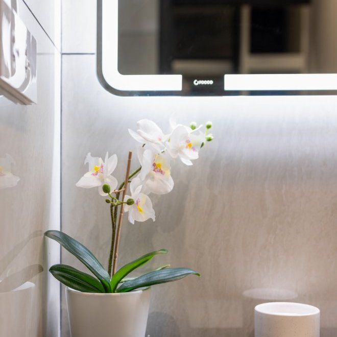 The Title Legendary A202 (ID 700)