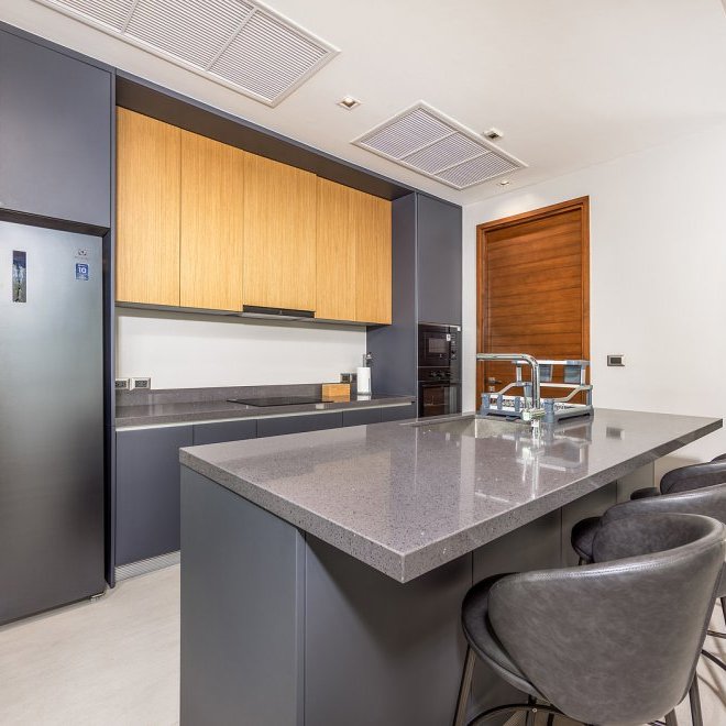 Magnum Villa в Botanica Modern Loft II (ID 703)