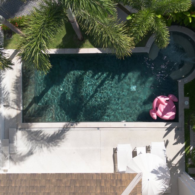 Trichada Tropical (ID 686)