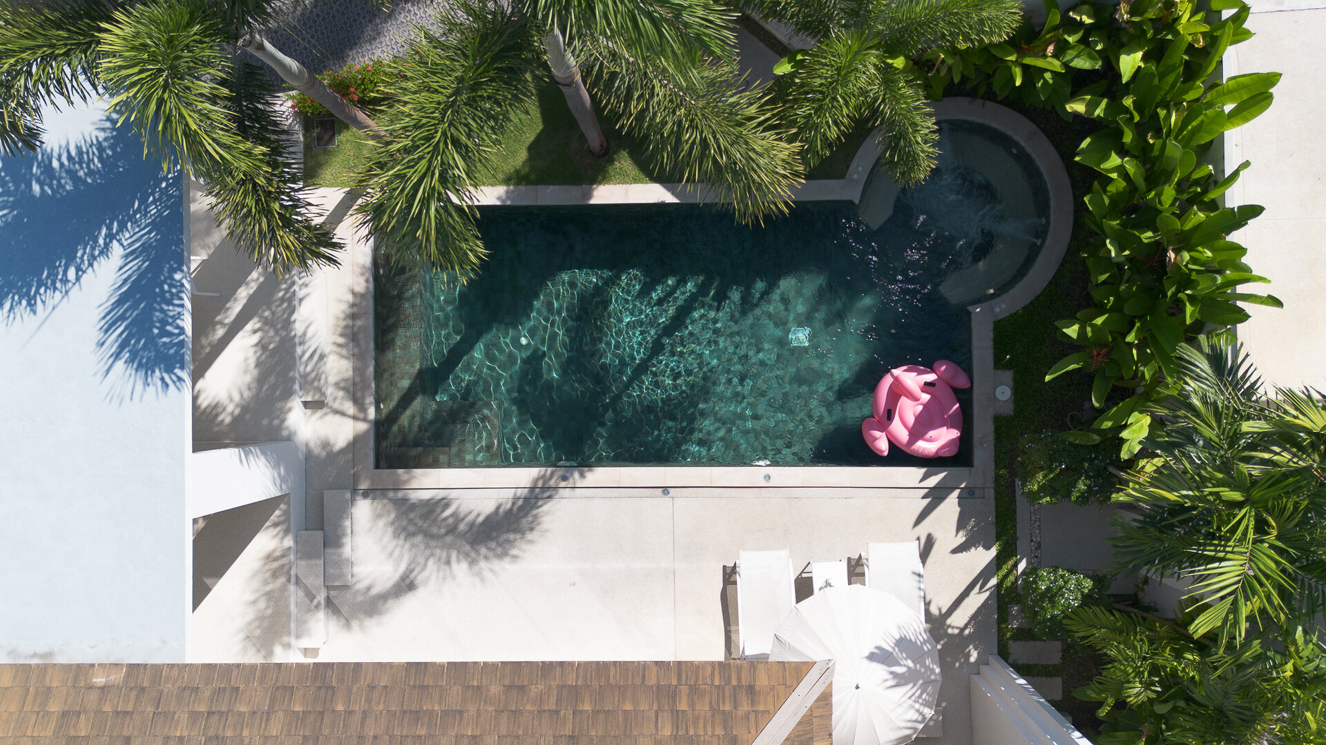 Trichada Tropical (ID 686)