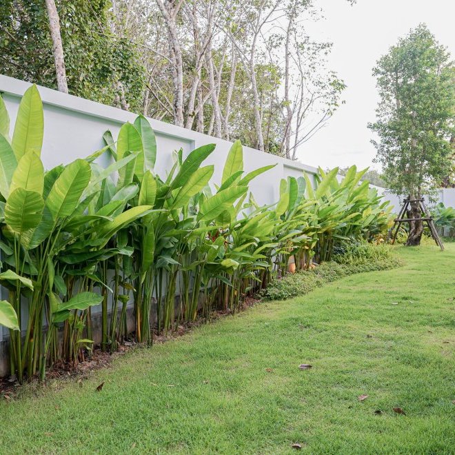 โบทานิก้าฟอเรสต้า (ID 633)