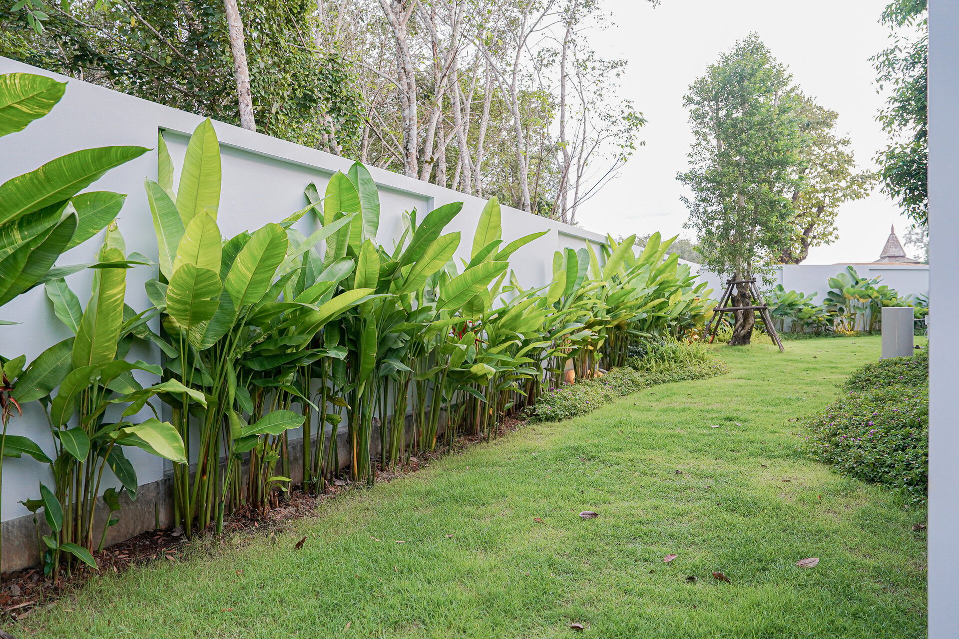 โบทานิก้าฟอเรสต้า (ID 633)