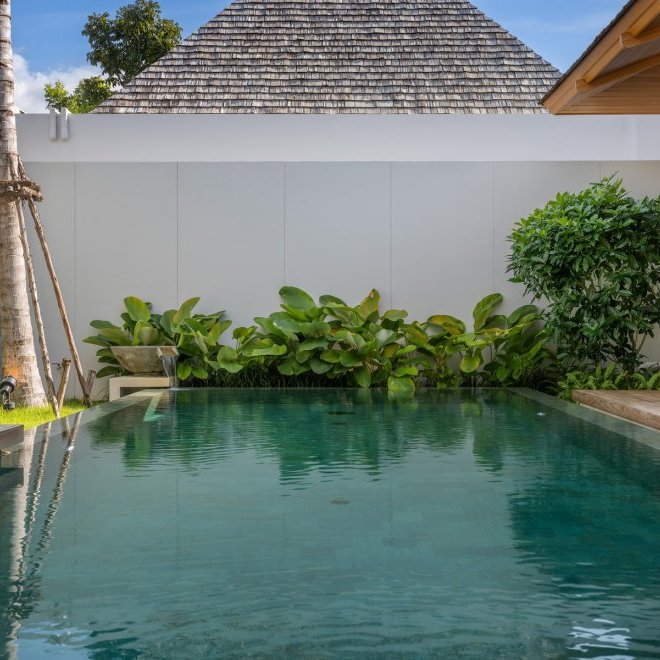 อัญชันฟลอร่า (ID 559)