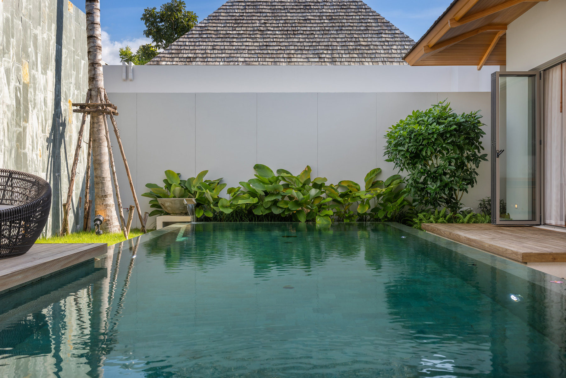 อัญชันฟลอร่า (ID 559)