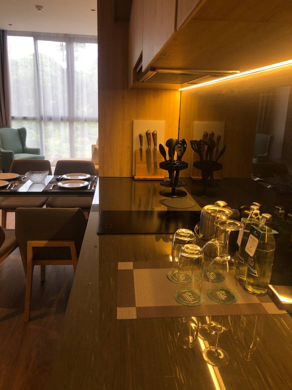 拉扬绿色公园第一期一居室公寓 (ID 144)