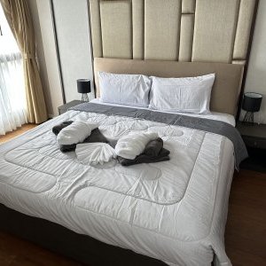 The Mida Panora (ID 602)