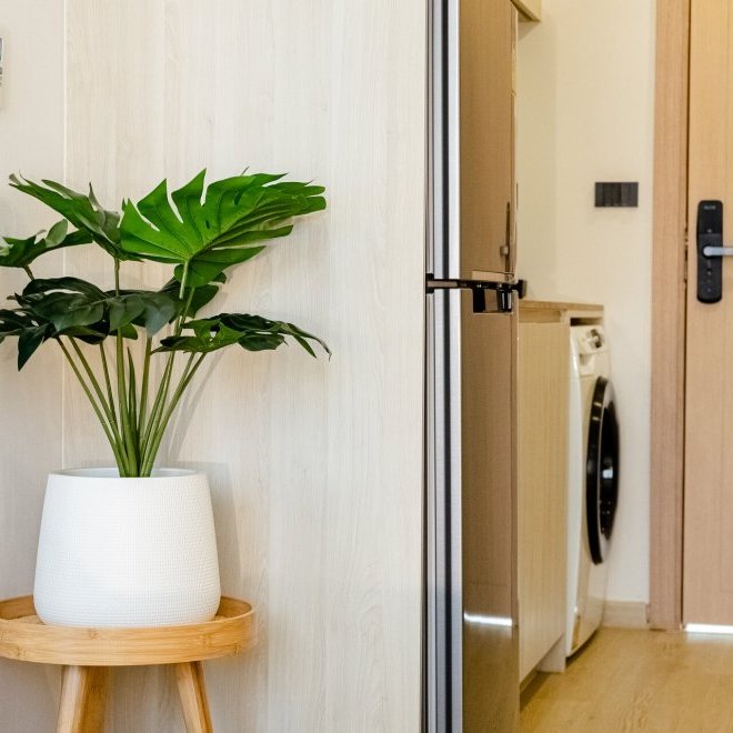 臭氧第一阶段 (ID 584)