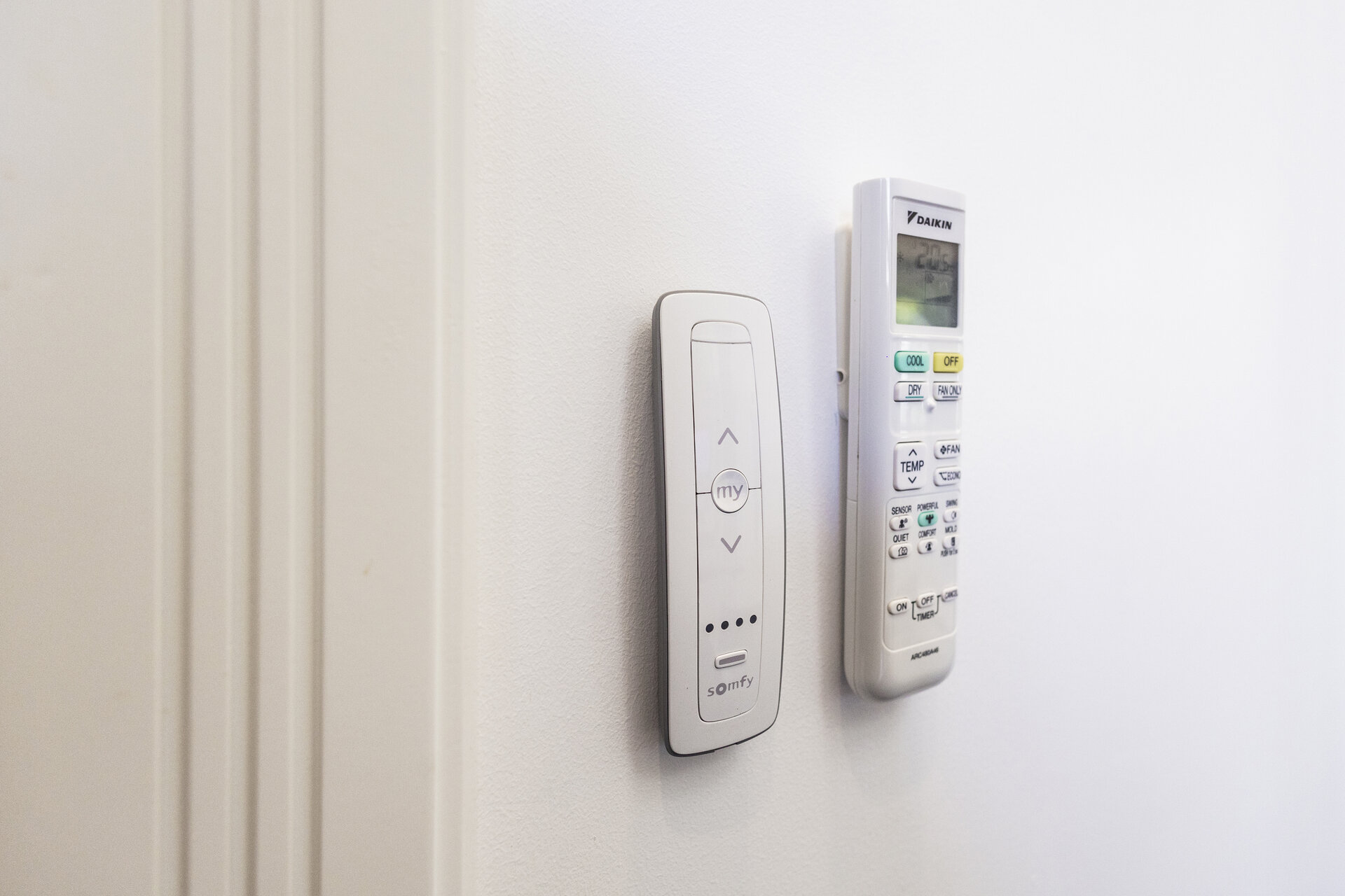 Gold Charoit (ID 554)