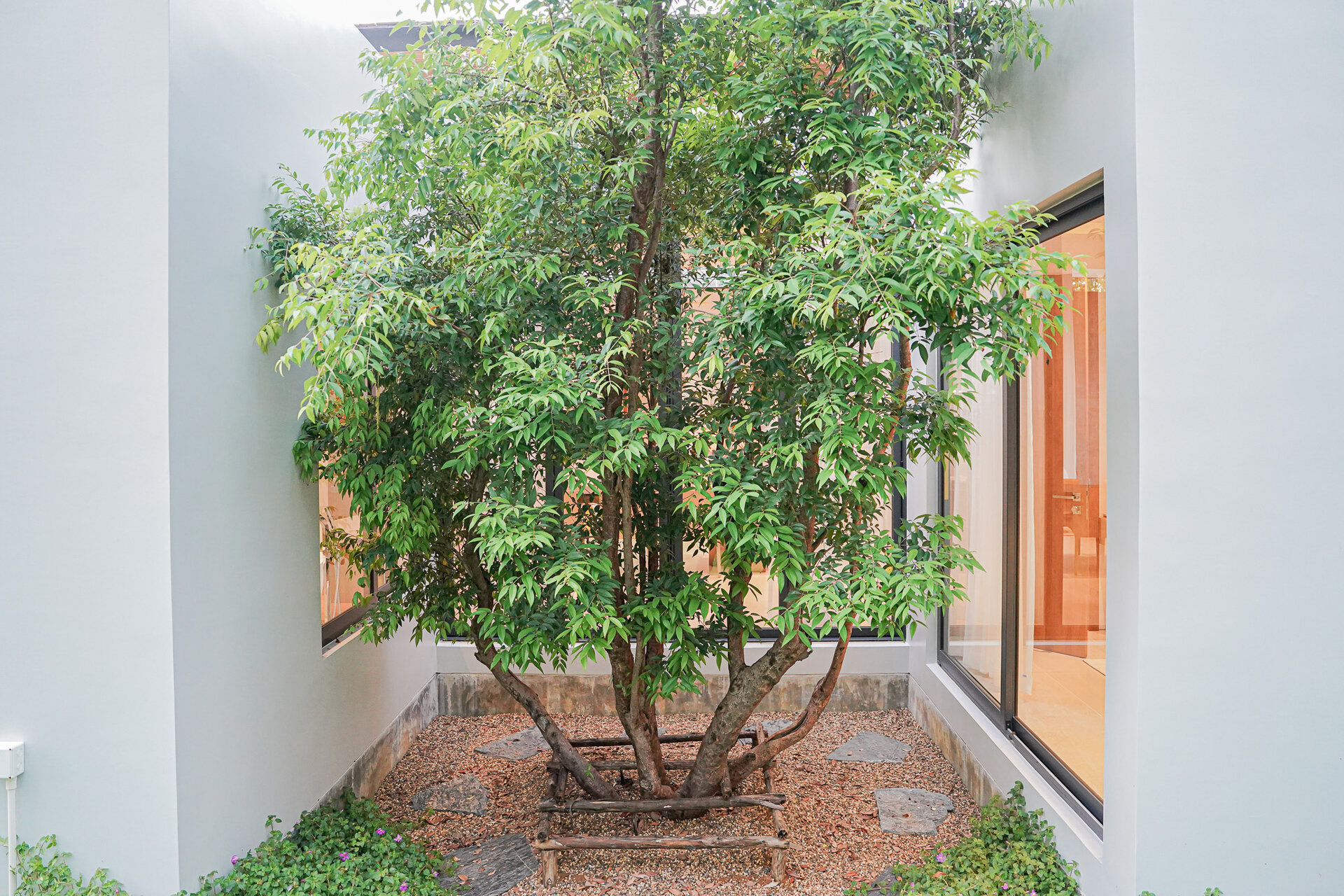 โบทานิก้าฟอเรสต้า (ID 633)