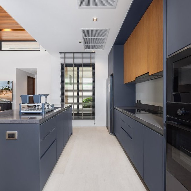 Magnum Villa в Botanica Modern Loft II (ID 703)