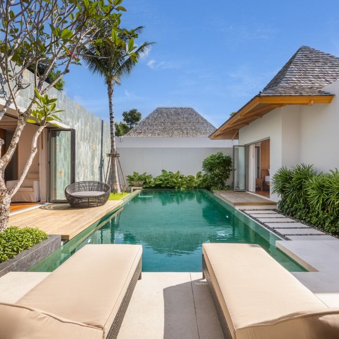 อัญชันฟลอร่า (ID 559)