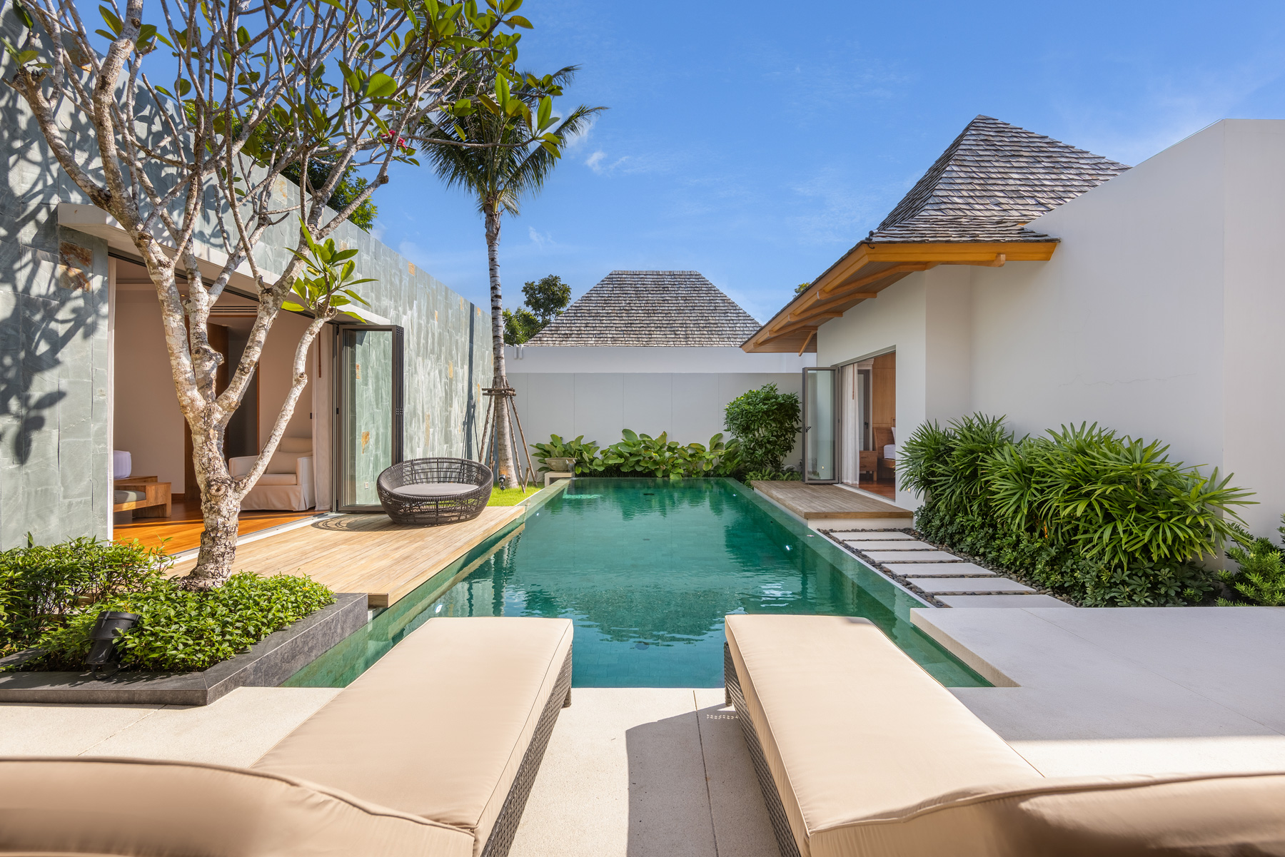 อัญชันฟลอร่า (ID 559)