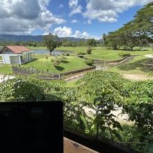 Фото к статье