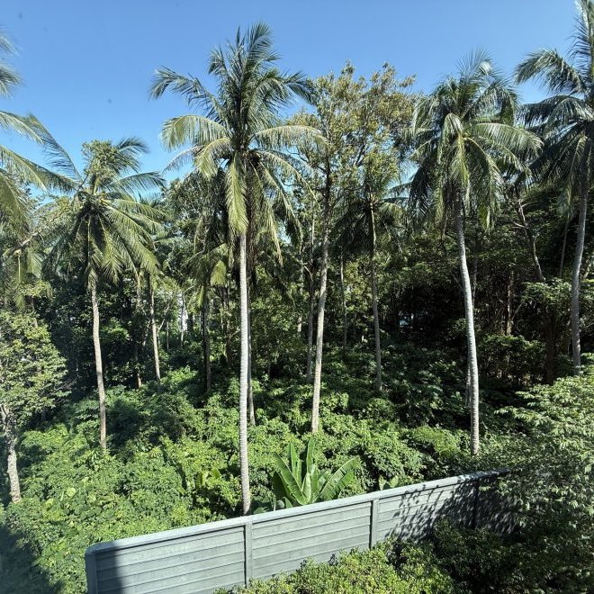 The Mida Panora G208 (ID 603)