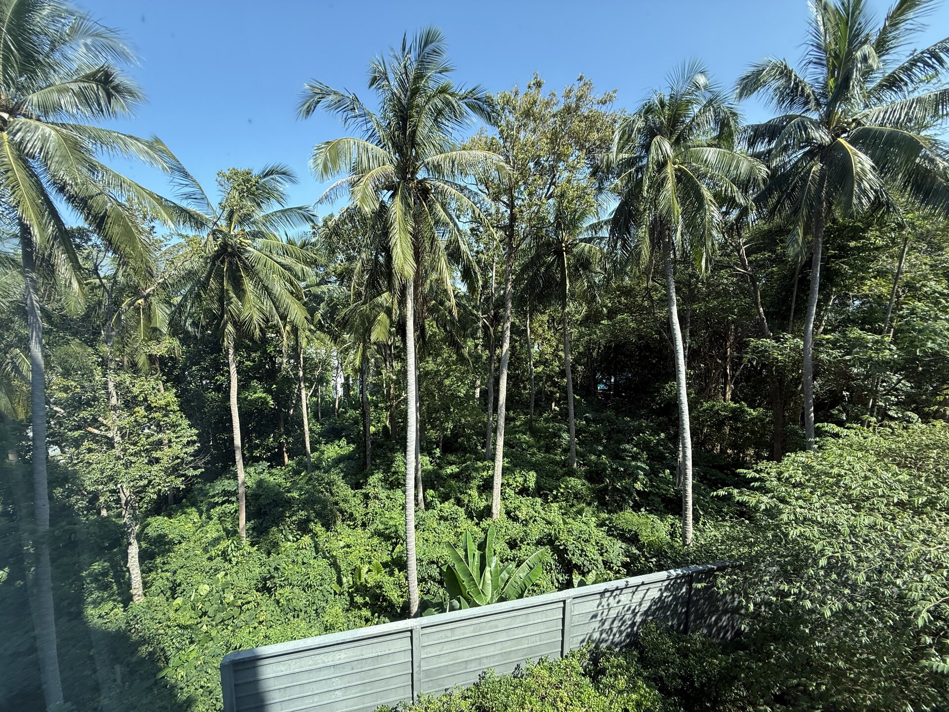 The Mida Panora G208 (ID 603)