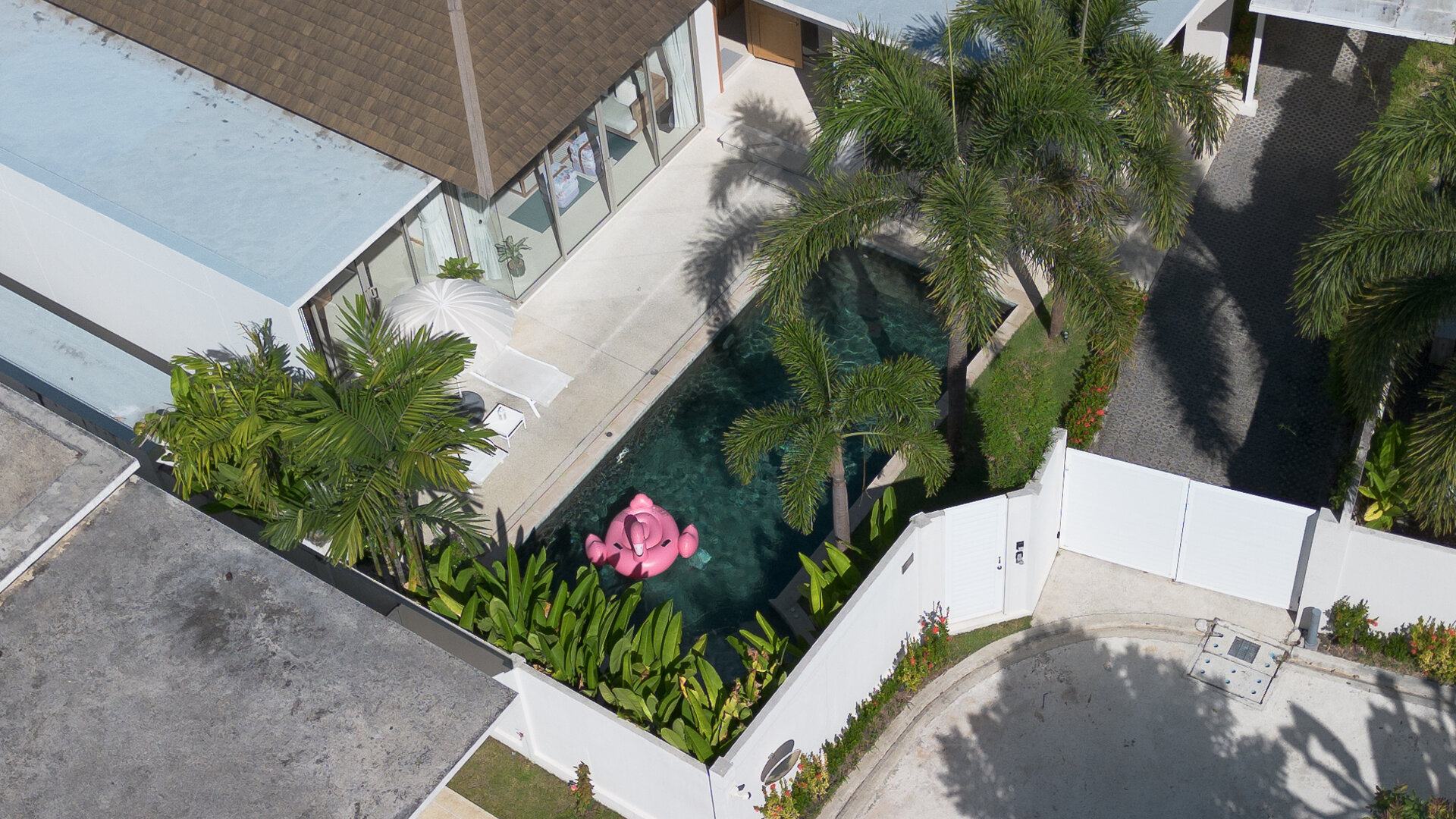 Trichada Tropical (ID 686)