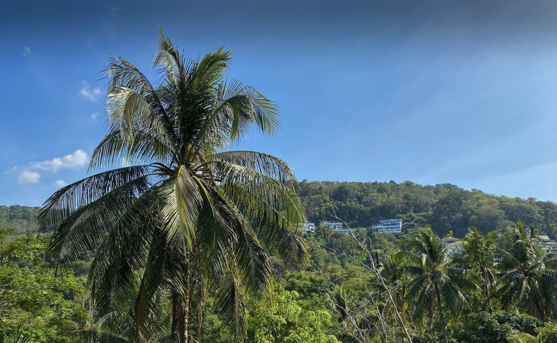 米达格兰德的两间卧室公寓 (ID 68)